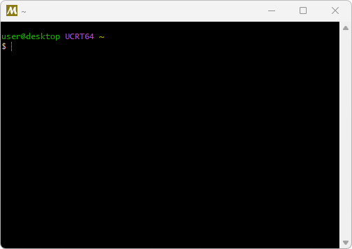 Empty MSYS2 terminal window